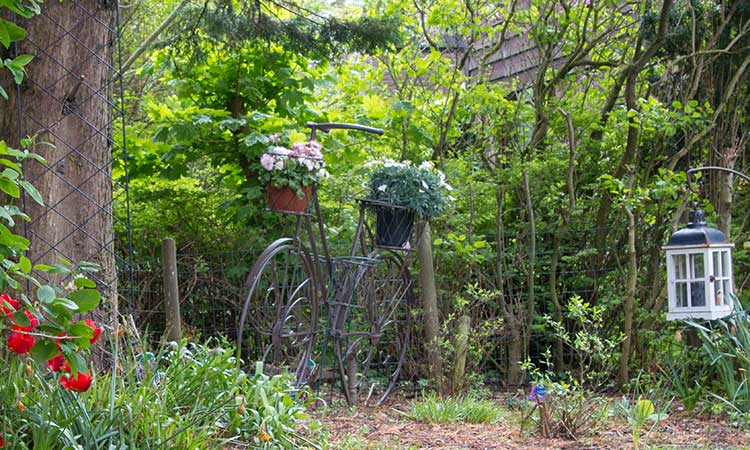 Ferienhaus Klinkerwand 73 für 6 Personen von Privat auf Texel mit schöner Gartengestaltung